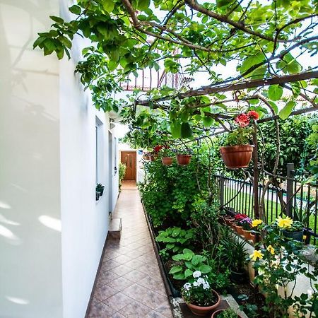 Apartments Lea Пореч Экстерьер фото