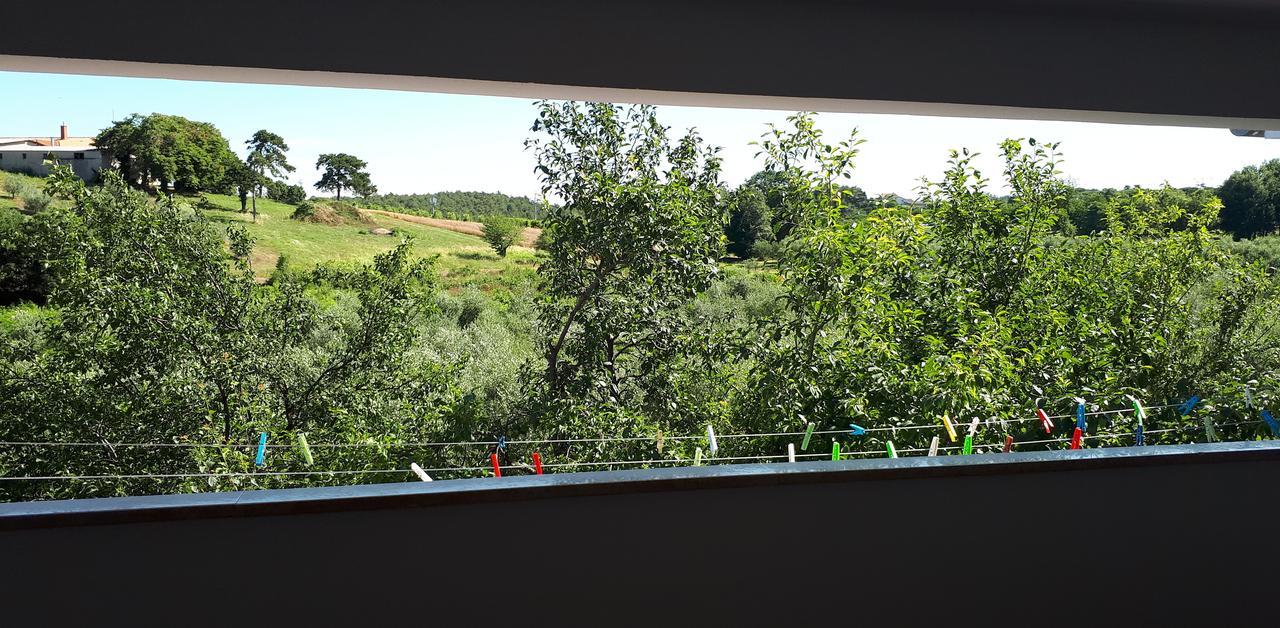Apartments Lea Пореч Экстерьер фото